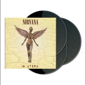 NIRVANA / ニルヴァーナ / IN UTERO - 20TH ANNIVERSARY (SUPER DELUXE VINYL)