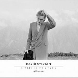 DAVID SYLVIAN / デヴィッド・シルヴィアン / ア・ヴィクティム・オブ・スター