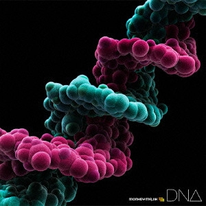 MONKEY MAJIK / モンキー・マジック / DNA