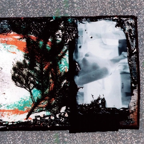 INTEG2000 : FEAR TOMORROW / SPLIT CD