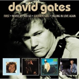 DAVID GATES / デヴィッド・ゲイツ / FIRST / NEVER LET HER GO / GOODBYE GIRL / FALLING IN LOVE AGAIN