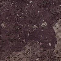 PINKISH BLACK / RAZED TO THE GROUND<DIGI>