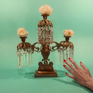 TROPICS OF CANCER / RESTLESS IDYLLS