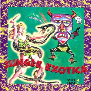 V.A. / オムニバス / JUNGLE EXOTICA VOL.2
