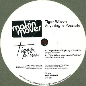 TIGER WILSON / ANYTHING IS POSSIBLE