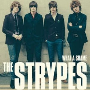 STRYPES / ストライプス / WHAT A SHAME