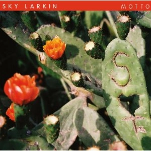 SKY LARKIN / スカイ・ラーキン / MOTTO