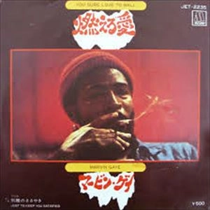 MARVIN GAYE / マーヴィン・ゲイ / 燃える愛