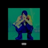 BIG SEAN / ビッグ・ショーン / HALL OF FAME 2LP