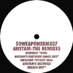 ANSTAM / GITA/STINKY WIG (ANSTAM REMIXES)