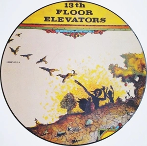 13TH FLOOR ELEVATORS / サーティーンス・フロア・エレヴェーターズ / LIVE