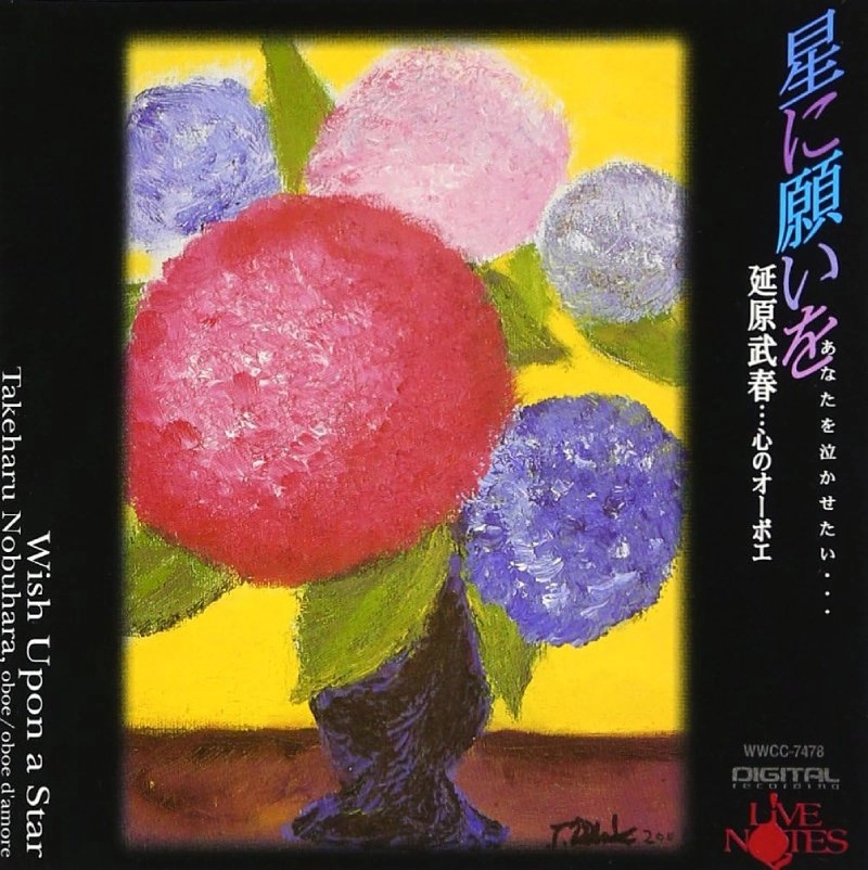 TAKEHARU NOBUHARA / 延原武春 / 星に願いを