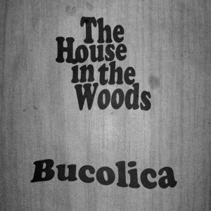 HOUSE IN THE WOODS / BUCOLICA