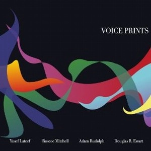 ROSCOE MITCHELL / ロスコー・ミッチェル / VOICE PRINTS