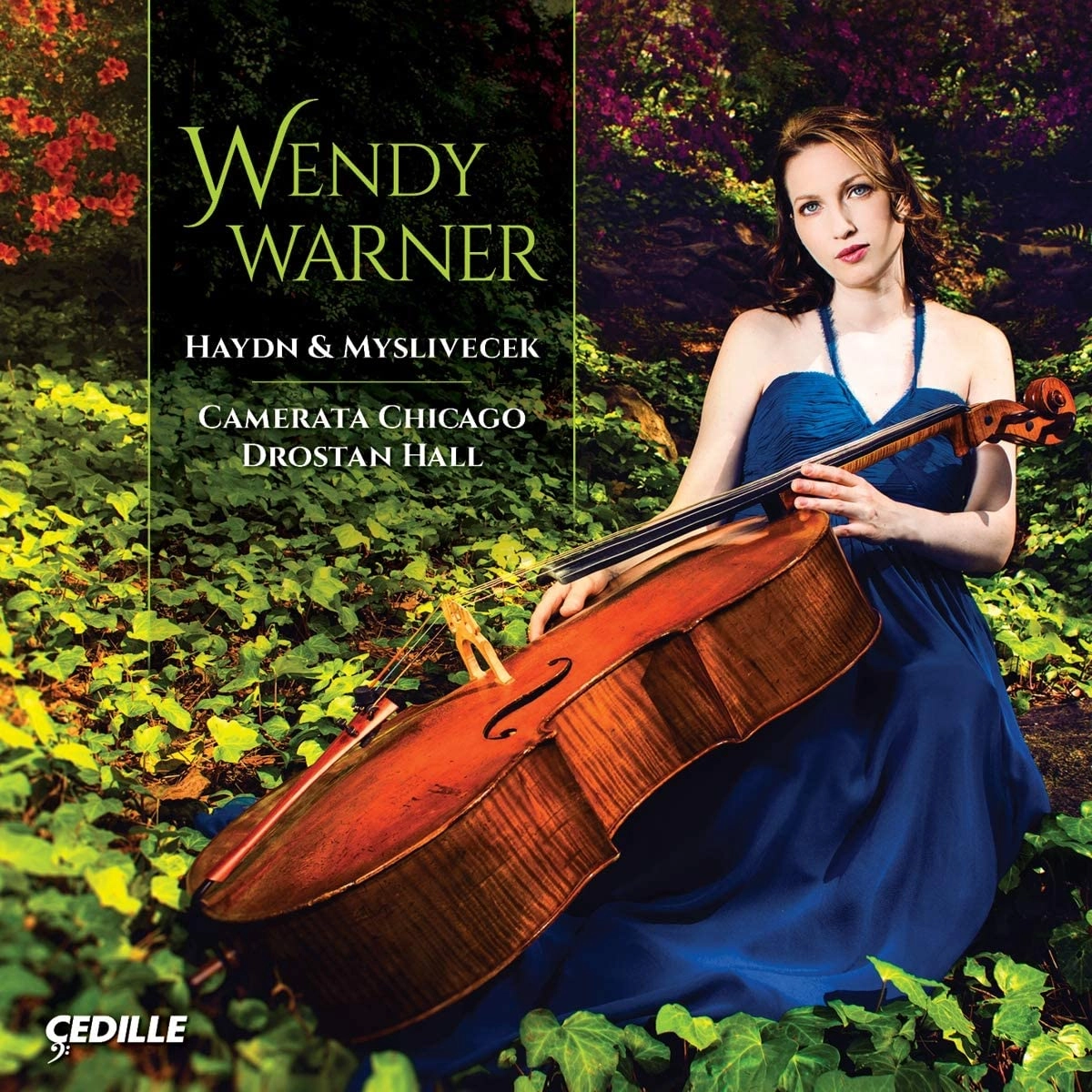 WENDY WARNER / ウェンディ・ワーナー / HAYDN & MYSLIVECEK:CELLO CONCERTO