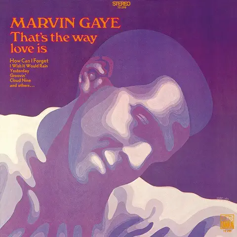 MARVIN GAYE / マーヴィン・ゲイ / THAT'S THE WAY LOVE