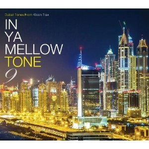 V.A. (IN YA MELLOW TONE) / イン・ヤ・メロウ・トーン（９）