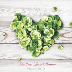 TARUISHI MASATOSHI / 垂石雅俊 / ヒーリング・ラヴ・バラード / HEALING LOVE BALLAD