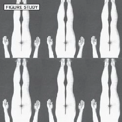 FIGURE STUDY / LESSON ONE