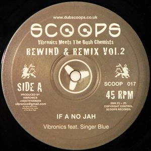 VIBRONICS / REWIND & REMIX VOL.2