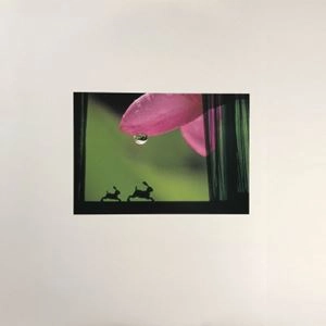 YUMIKO MORIOKA / 盛岡夕美子 / 余韻 / Resonance