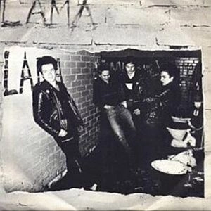 LAMA (PUNK) / TOTUUS LOYTYY KAURAPUUROSTA