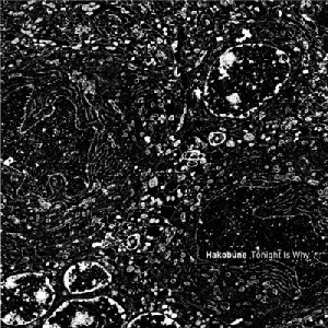 HAKOBUNE / Tonight Is Why