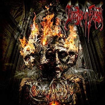 DEEDS OF FLESH / ディーズ・オブ・フレッシュ / GRADUALLY MELTED