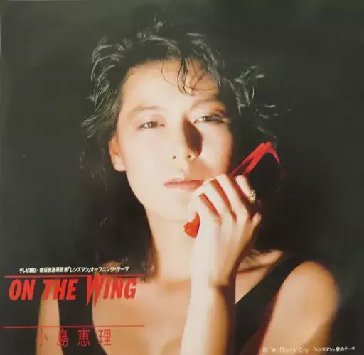 ERI KOJIMA / 小島恵理 / ON THE WING