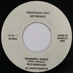 RICO RODRIGUEZ / リコ・ロドリゲス / WONDERFUL WORLD