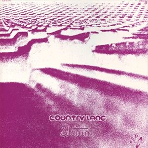 COUNTRY LANE / SUBSTRATUM