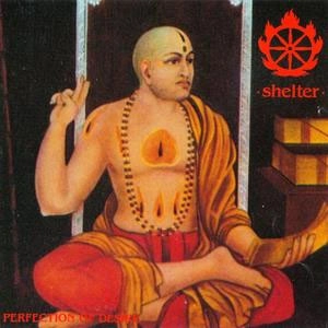 SHELTER / PERFECTION OF DESIRE(COLOR LP) / PERFECTION OF DESIRE