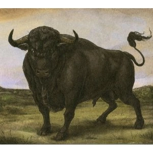 SAN FERMIN / サン・フェルミン / SAN FERMIN