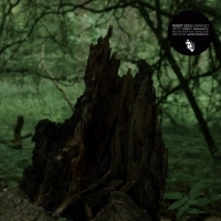 ROBOT KOCH / UNPAVED