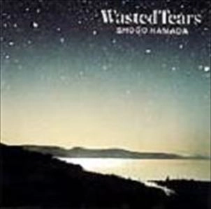 SHOGO HAMADA / 浜田省吾 / Wasted Tears