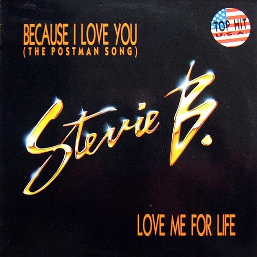 STEVIE B / スティーヴィーB / BECAUSE I LOVE YOU