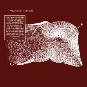 HAROLD BUDD / ハロルド・バッド / THROUGH THE HILL