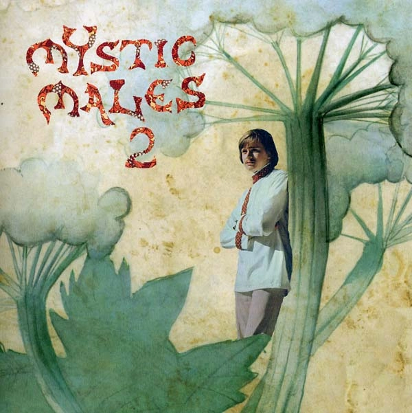 V.A. (PSYCHE) / MYSTIC MALES 2