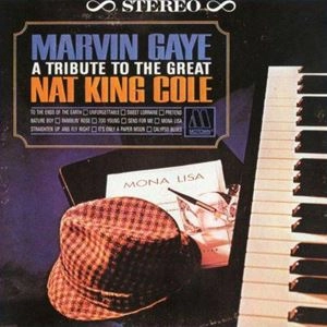 MARVIN GAYE / マーヴィン・ゲイ / TRIBUTE TO THE GREAT NAT KING COLE