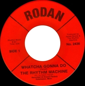 RHYTHM MACHINE / リズム・マシーン / WHATCHA GONNA DO / FREAKISH LOVE