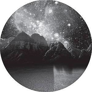 MARTIN BUTTRICH / EARTH OF FOXES