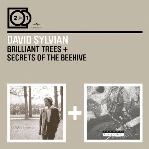 DAVID SYLVIAN / デヴィッド・シルヴィアン / 2 For 1: Brilliant Trees / Secrets Of The Beehive