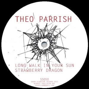 THEO PARRISH / セオ・パリッシュ / LONG WALK IN YOUR SUN
