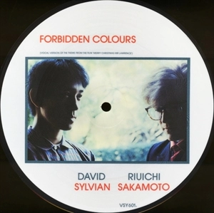 DAVID SYLVIAN & RYUICHI SAKAMOTO / デイヴィッド・シルヴィアン&坂本龍一 / FORBIDDEN COLOURS