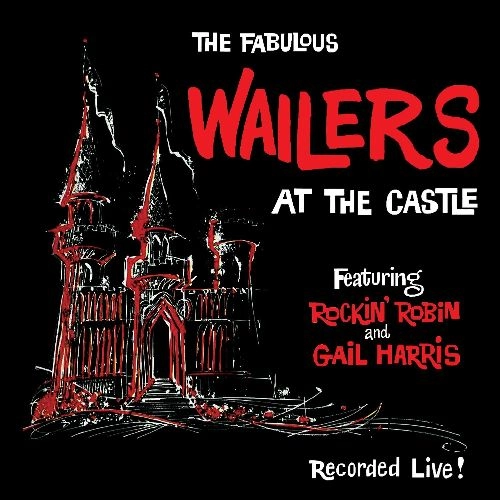 WAILERS (US ROCK) / ウェイラーズ (US ROCK) / AT THE CASTLE
