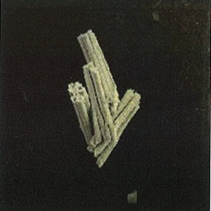 HEJIRA / ヘジラ / PRAYER BEFORE BIRTH