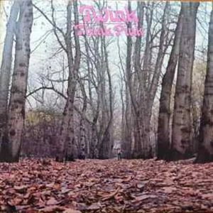 TWINK / トゥインク / THINK PINK