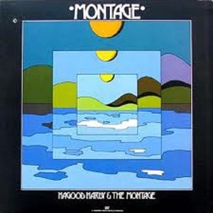 HAGOOD HARDY / ハーグッド・ハーディ / MONTAGE