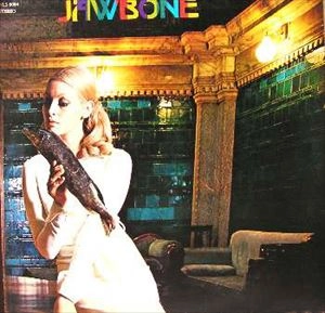 JAWBONE / ジョーボーン / JAWBONE