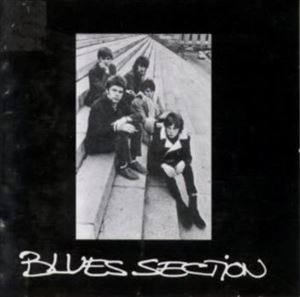 BLUES SECTION / ブルーズ・セクション / BLUES SECTION